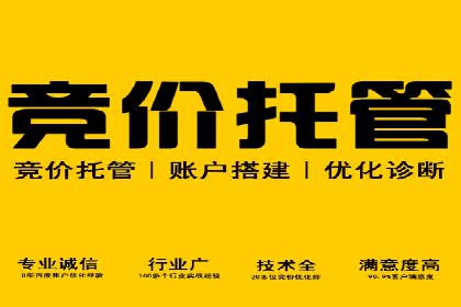 行业领先企业的SEM推广代运营实战经验